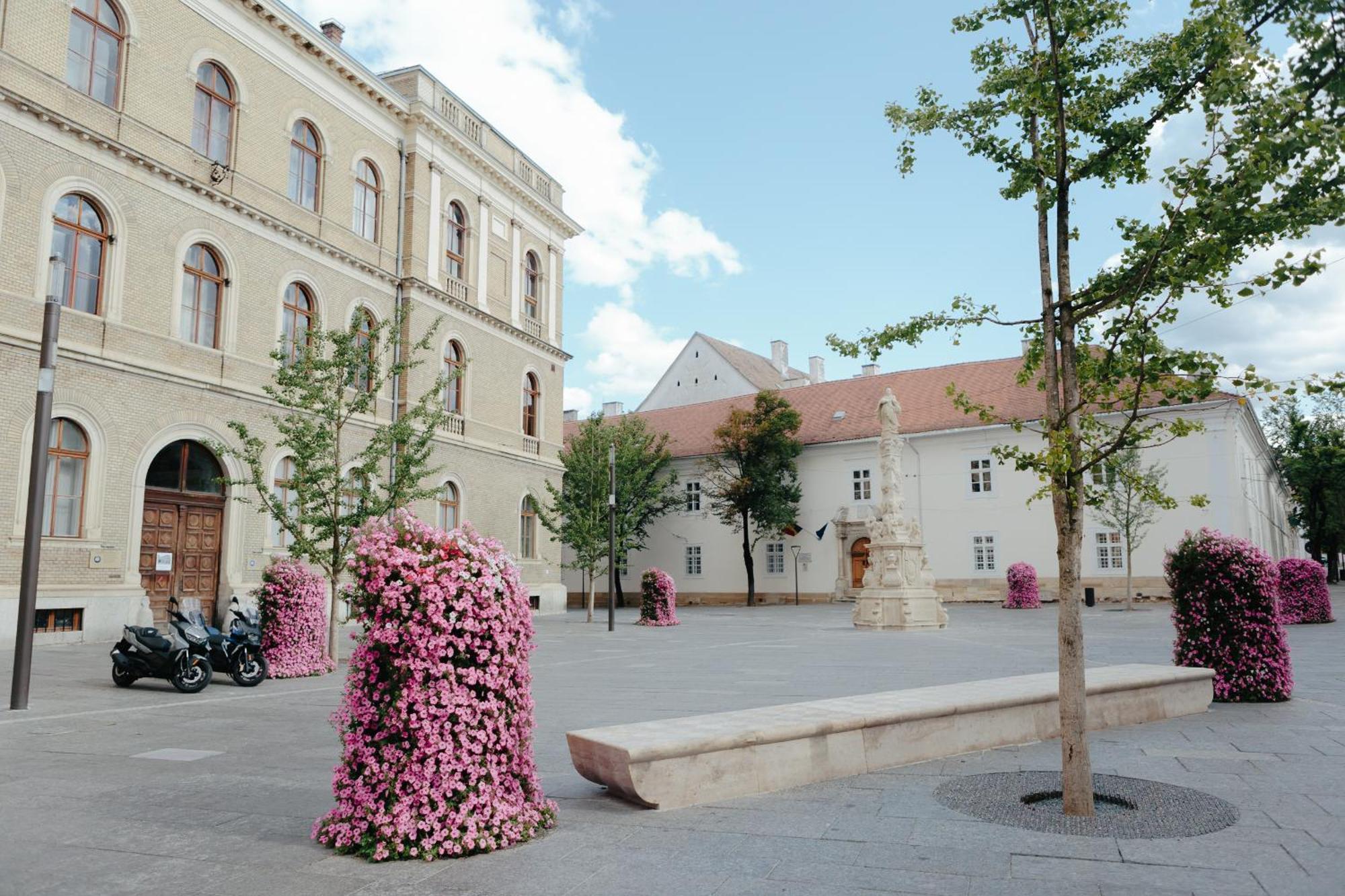 Apartament Contessa Napoca Cluj-Napoca