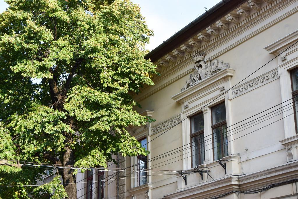 Contessa Napoca Cluj-Napoca